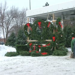 Poor Bob's Tree Land