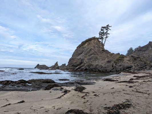 Shi Shi Beach by null