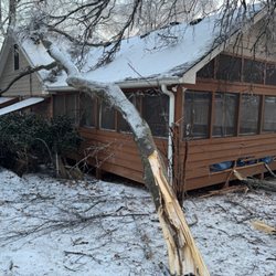 My Friend Landscaping - Removed the tree on the house that punctured the roof.