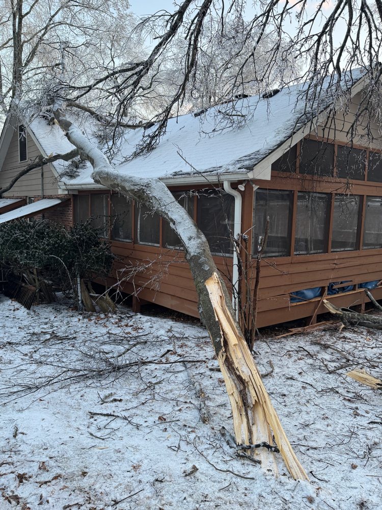 My Friend Landscaping - tree service in Nashville, TN