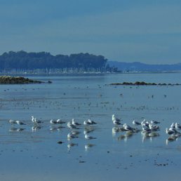 Facing Coyote Point Facing Coyote Point