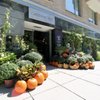 Greenworks Florist gift card