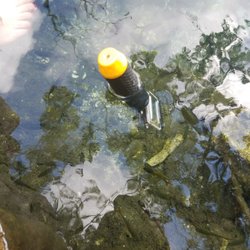 Cenote Escondido - My go pro acting normal like a cenote fish