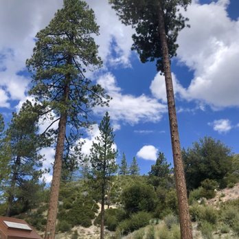 Chilao Campground - Campgrounds Near Me