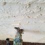Photo of Ideal Plumbing