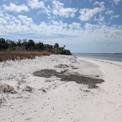 Living Cedar Key