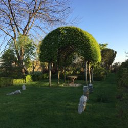 The Madoo Conservancy - The Hornbeam bower
