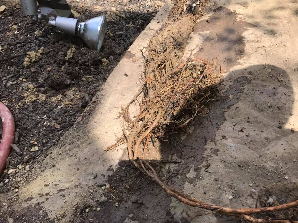 Slide of Maintenance Plus Group