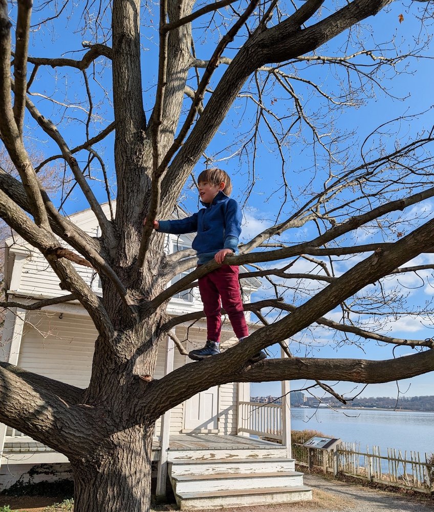Potomac Crescent Waldorf School - childcare center in Alexandria, VA