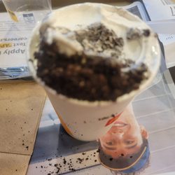 McDonald's - Oreo Mcflurry.