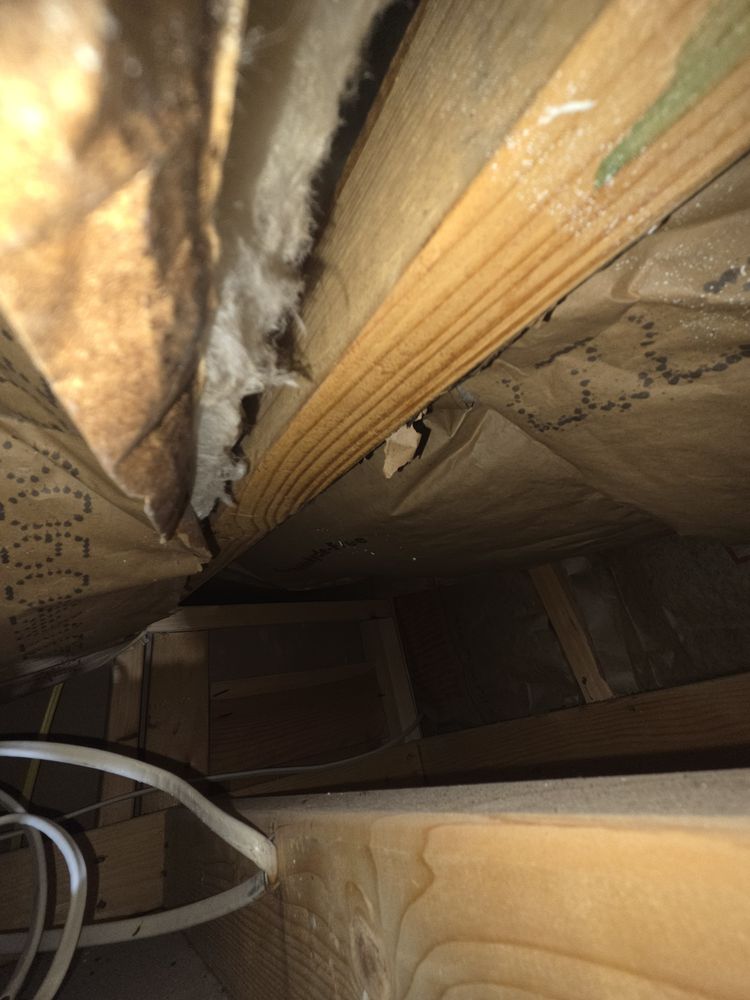 Wachee Worx home repair project