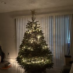 Mr Jingle's Christmas Trees - Our perfect tree!