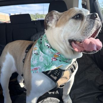 Petco - Pet Stores Near Me - Milford, Connecticut