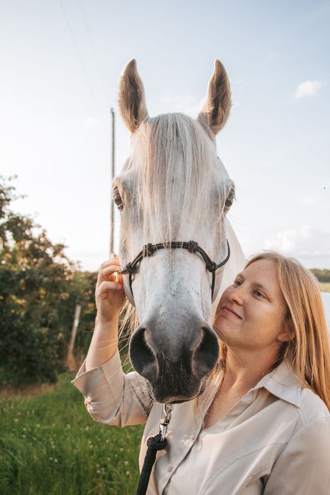 Tenacity  Horsemanship - equestrian in Muskegon, MI