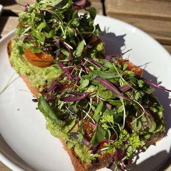 AOSA Coffee - Avocado toast - Coffee & Tea Near Me - Huntington Beach, California
