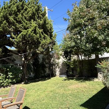 Pineda's Tree Care - Before and after of my 2 trees. They needed to be heavily trimmed and they did it in just a few hours. - Tree Services Near Me Pineda's Tree Care - Before and after of my 2 trees. They needed to be heavily trimmed and they did it in just a few hours. - Tree Services Near Me
