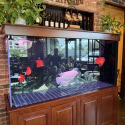 V Lotus - Fish tank by the bathroom