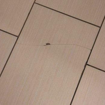 Fairfield by Marriott Inn & Suites Sacramento Folsom - Cracked tiles in the bathroom - Hotels Near Me - Folsom, California