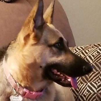 Petco - My little girl. - Pet Stores Near Me - San Jose, California
