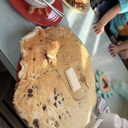 Chocolate chip Hub cap cake Chocolate chip Hub cap cake