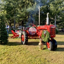 Christmas Creek Tree Farm