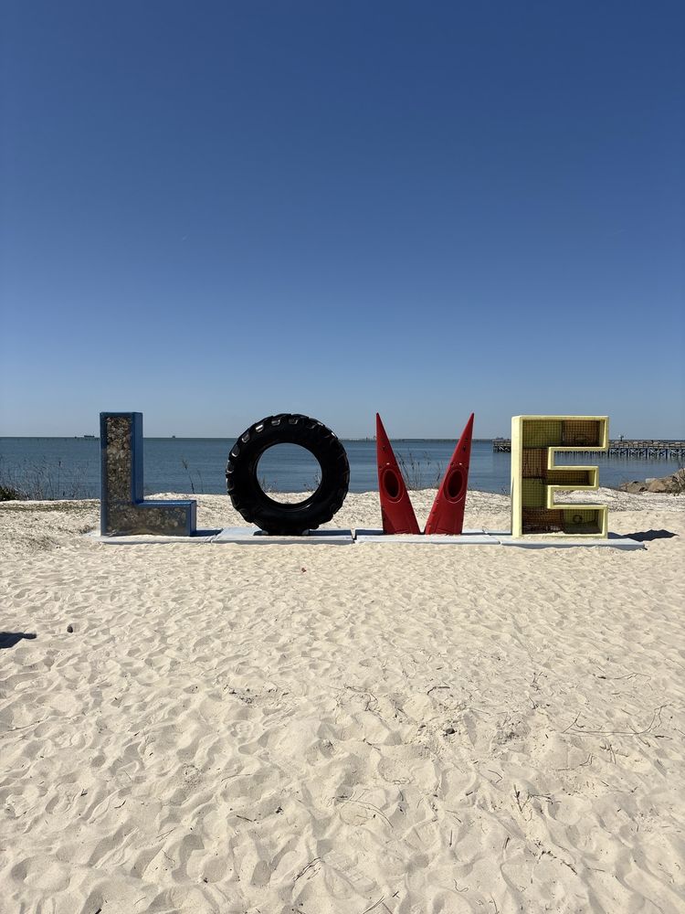Chesapeake Bay Beach