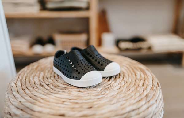 The Merry Lion by null