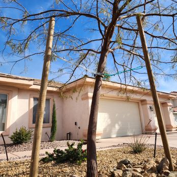 Triple V Tree Removal - Tree Services Near Me Triple V Tree Removal - Tree Services Near Me