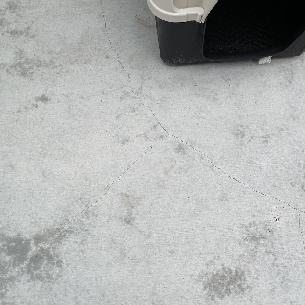 Pacific Coast Concrete - a cat in a litter box - Masonry/Concrete Near Me - Silverdale, Washington Pacific Coast Concrete - a cat in a litter box - Masonry/Concrete Near Me - Silverdale, Washington