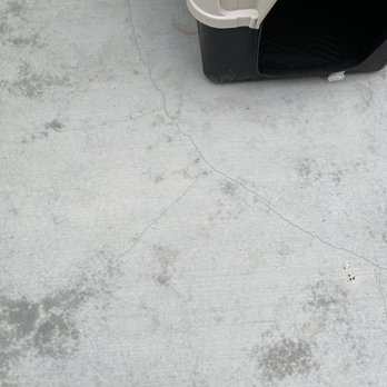 Pacific Coast Concrete - a cat in a litter box - Masonry/Concrete Near Me - Silverdale, Washington Pacific Coast Concrete - a cat in a litter box - Masonry/Concrete Near Me - Silverdale, Washington