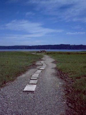 Dosewallips State Park by null