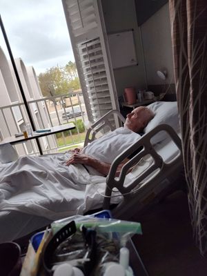 The Pavilion at Sunny Hills by null