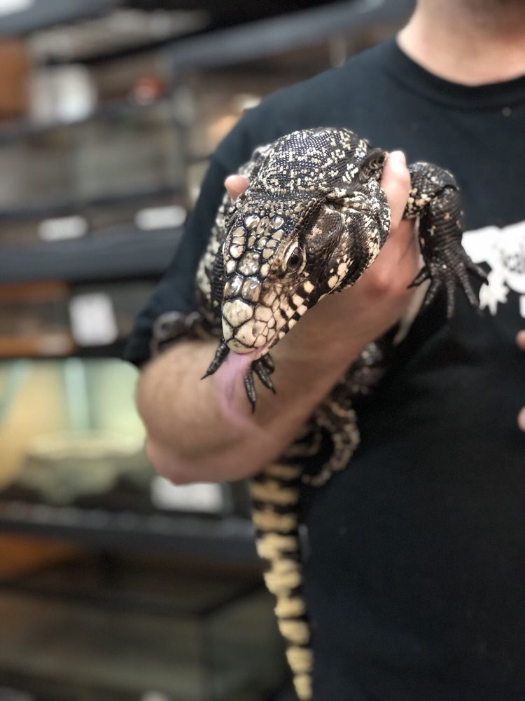 SCALES & TAILS UTAH 173 Photos & 62 Reviews 4944 W 6200th S, Kearns