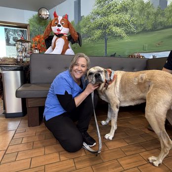 Copeland Veterinary Hospital - Dog at Copeland - Veterinarians Near Me - Cookeville, Tennessee Copeland Veterinary Hospital - Dog at Copeland - Veterinarians Near Me - Cookeville, Tennessee