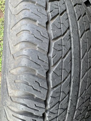 Roadrunner Oil & Lube