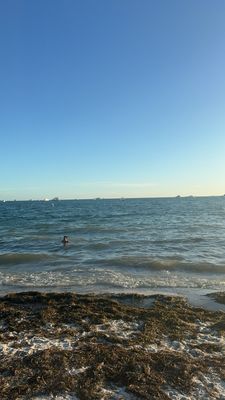 Key Biscayne by null