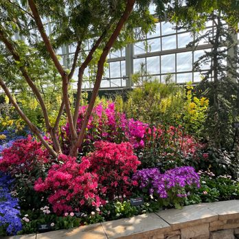 Garfield Park Conservatory - Parks Near Me - Chicago, Illinois