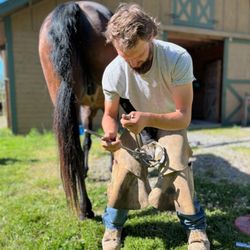 Hoofstrong Farrier Service