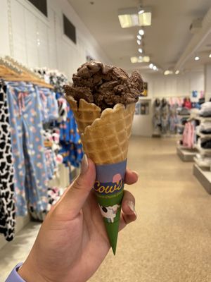 COWS Creamery by null