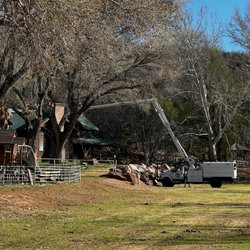 Lee's Tree Service