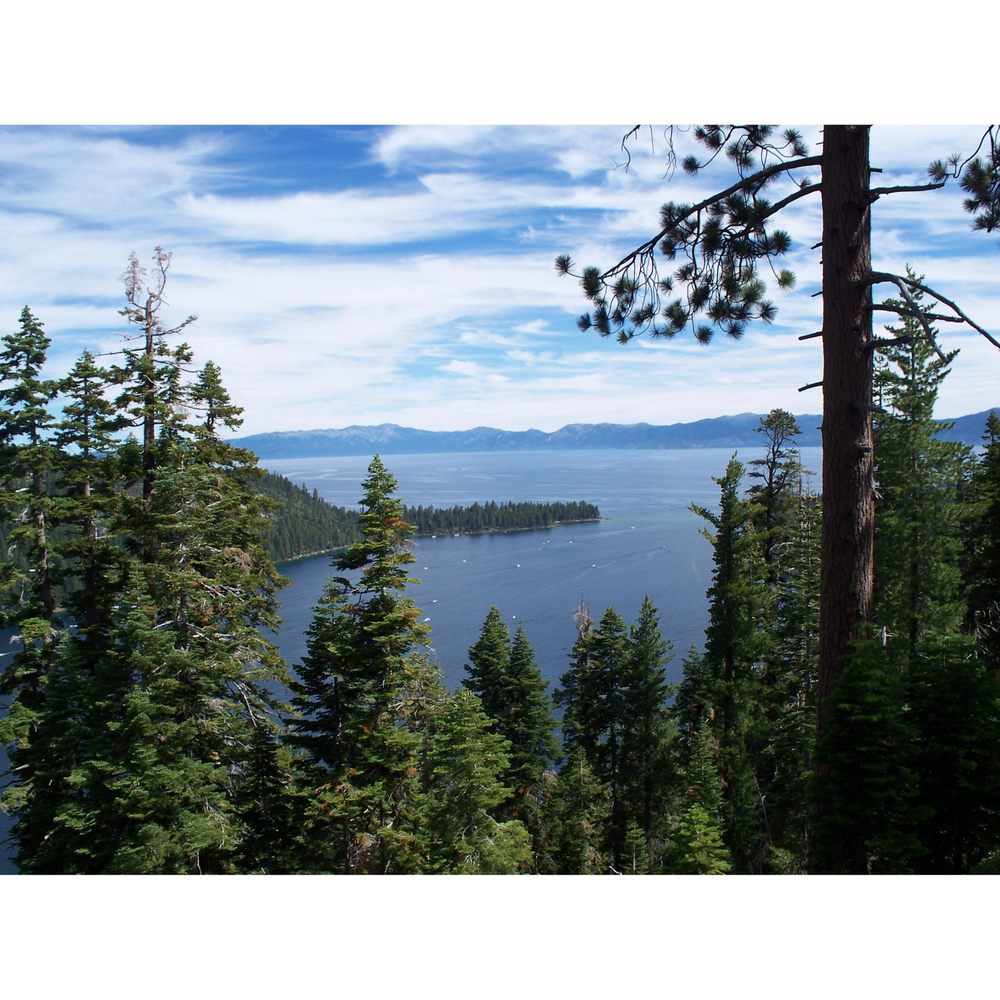 Bell Environmental Safety Services - mold inspector in Louisville, KY