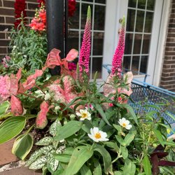 Oak Street Garden Shop