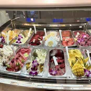 Frost Gelato - More fabulous flavors of gelato and sorbet! - Gelato Near Me - Scottsdale, Arizona Frost Gelato - More fabulous flavors of gelato and sorbet! - Gelato Near Me - Scottsdale, Arizona