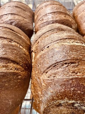 Russ & Daughters Brooklyn by null