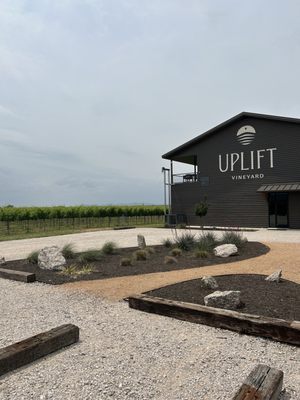 Uplift Vineyard by null