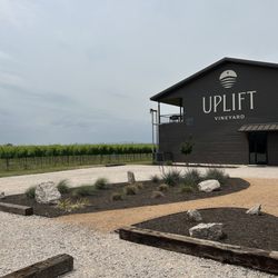 Uplift Vineyard
