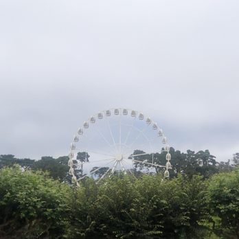 SkyStar Wheel Fisherman’s Wharf - At a distance - Amusement Parks Near Me - San Francisco, California