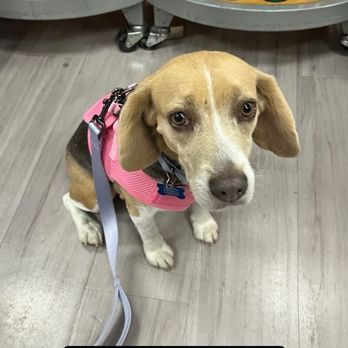 TJ MAXX - Updated December 2025 - 39 Photos & 94 Reviews - 11020