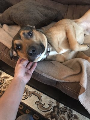 REGIONS HOSPITAL - Updated November 2025 - 23 Photos & 96 Reviews - 640