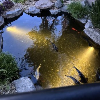 Castaway Burbank - Outside koi pond - Bars Near Me - Burbank, California